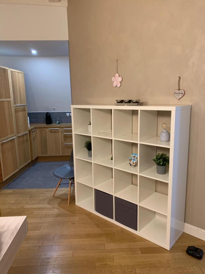 Historical Town Center Spacious Flat コルマール エクステリア 写真