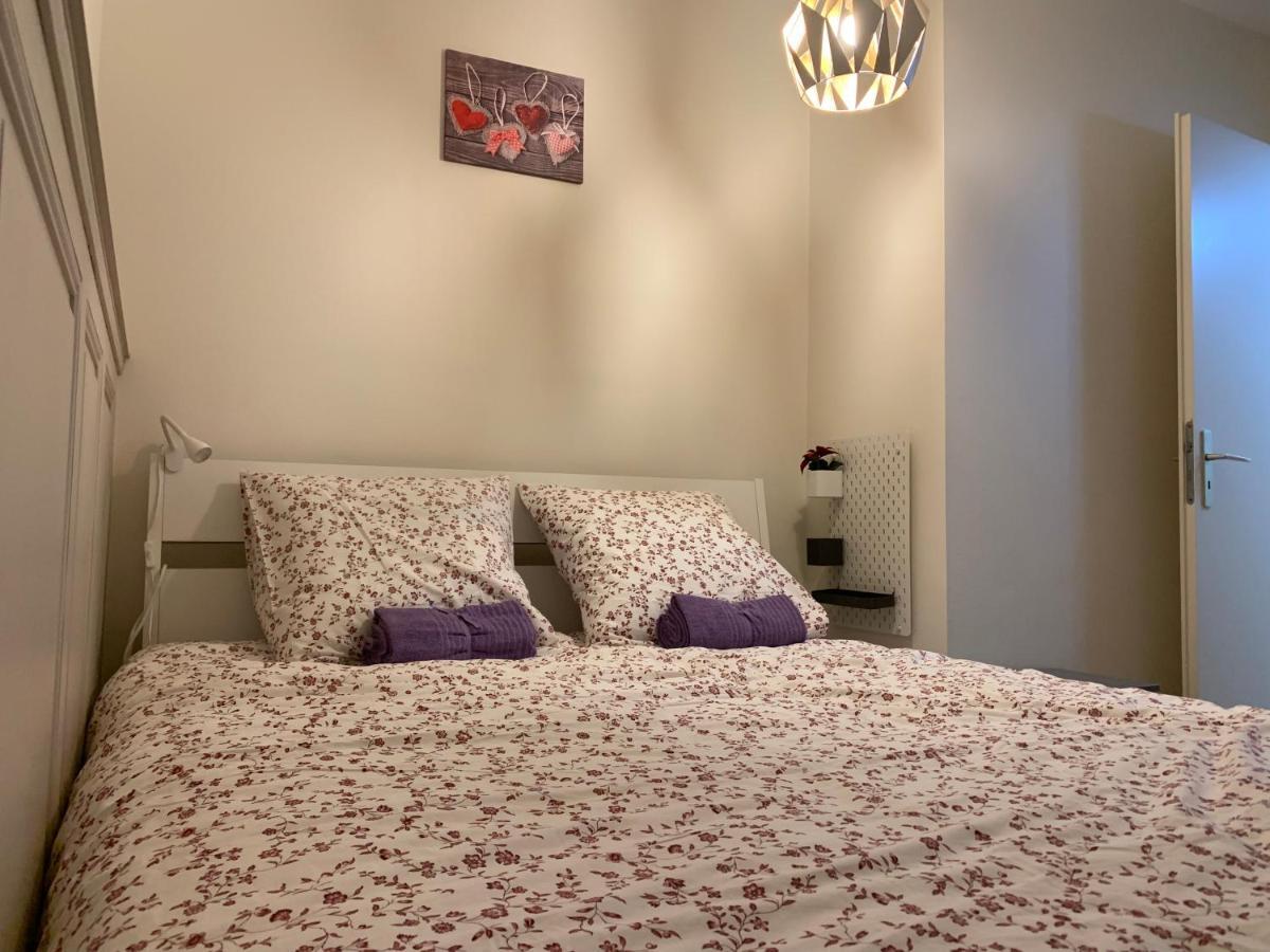 Historical Town Center Spacious Flat コルマール エクステリア 写真
