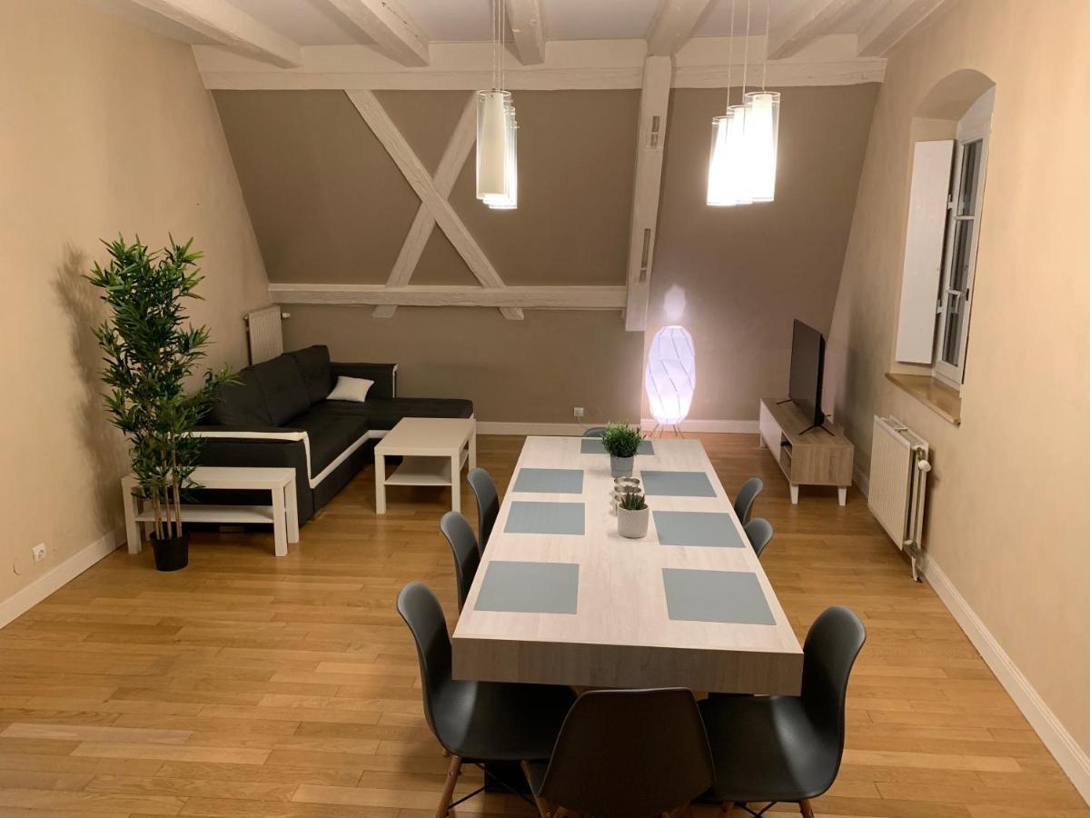 Historical Town Center Spacious Flat コルマール エクステリア 写真