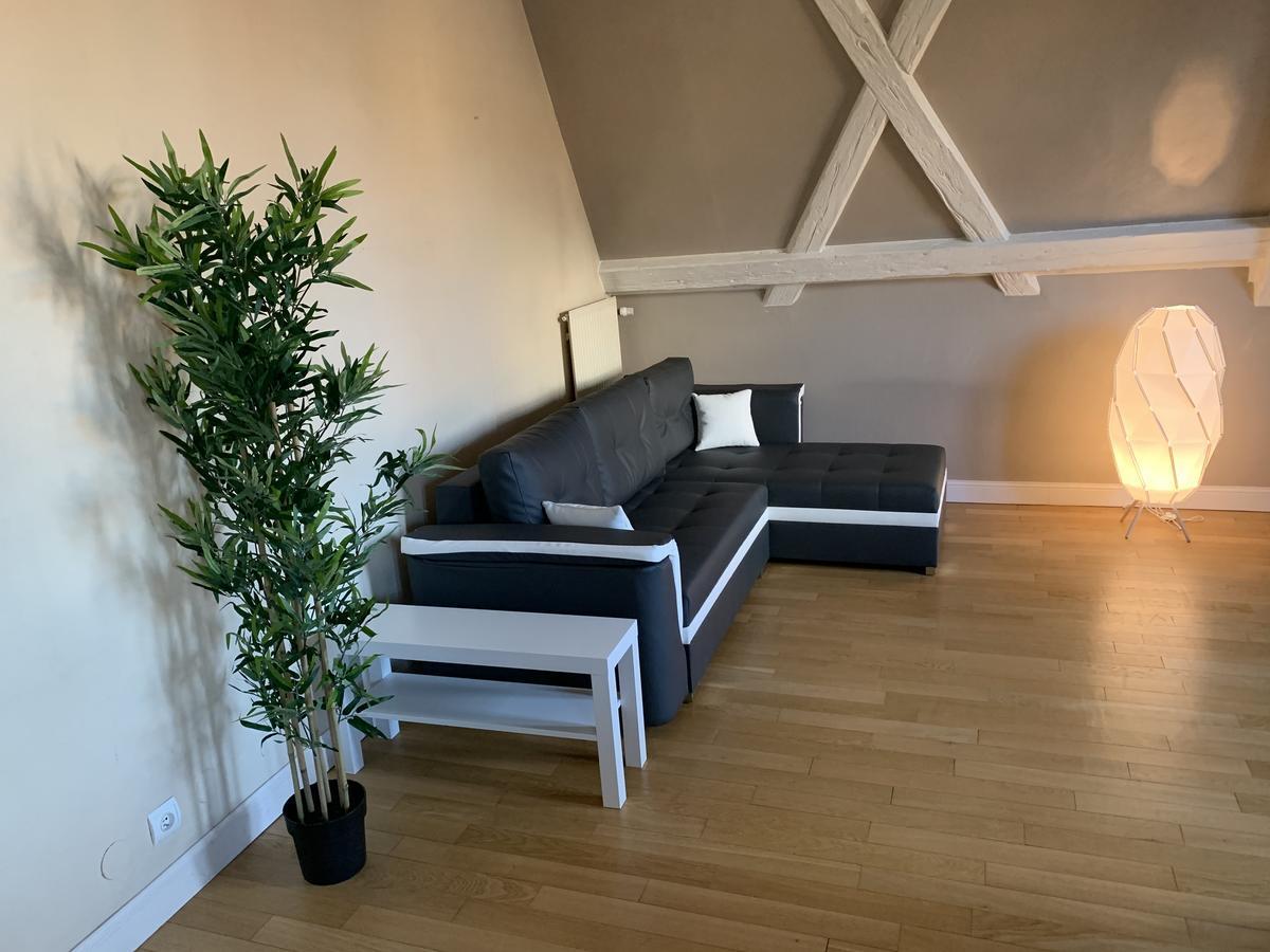 Historical Town Center Spacious Flat コルマール エクステリア 写真